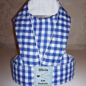 Gingham - Blue and White (Back Fastening)