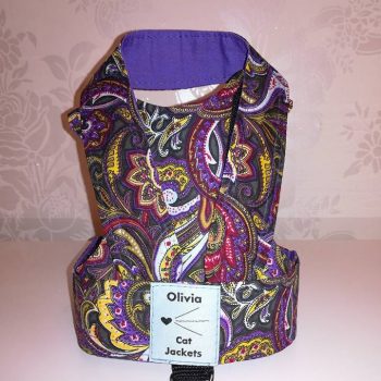 Paisley - Purple