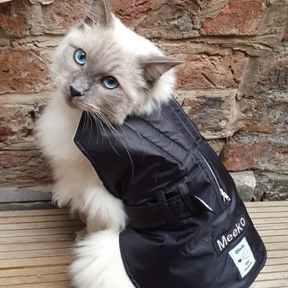 Olivia Cat Jackets | Shop Now