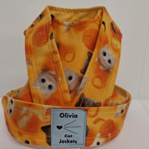 Cutesy Catz - Orange (Back Fastening)