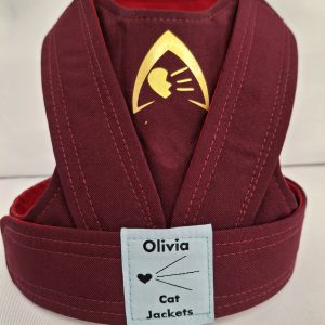 Secret Traitor Inspired - Red (Back Fastening)
